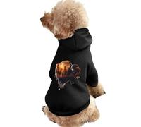 Save The Sky Bisons Dog Hoodie Shirts Pet Clothes for Small Puppy Cat Costume XS