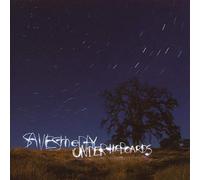 Saves The Day - Under The Boards [VINYL]