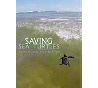 Saving Sea Turtles: Preventing Extinction