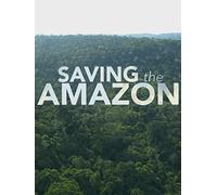 Saving the Amazon
