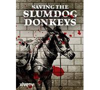 Saving the Slumdog Donkeys