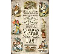 Sawfish® Alice in Wonderland Metal Sign There is A Place Like No Place On Earth Wall Plaque