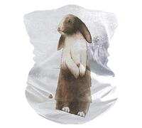Sawhonn North Pole Rabbit Face Mask Headband Bandana Balaclavas Neck Gaiter Magic Scarf Headwraps Headwear for Outdoor Women Men