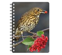 SAWLEY FINE ARTS SONG THRUSH 3D NOTEBOOK WITH STUNNING EFFECTIVE 3 DIMENSIONAL COVER AND RULED PAGES
