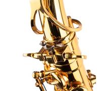 Sax Booster Accessory - Upgrade Your Sax Tone - Jazz Classical Saxophone Gear (Bronze, Bird style)