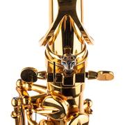 Sax Sound Booster for Alto Tenor Soparno Baritone - Custom Saxophone Accessory for Better Tone (Bronze, Panther style)