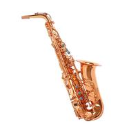 Saxaphone Adult Alto E-flat Saxophone Instrument Saxophone Pipe Examination Performance Model Beginner General Professional Model Gold