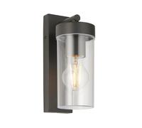 Saxby 98439 Hayden wall IP44 15W Anthracite grey & clear pc 15W LED E27 (Required)