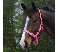 Saxon Economy Headcollar Pink Pony