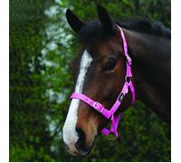 Saxon Economy Headcollar - Pink - Warmblood
