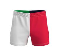 SaxonClothing Lions 4 Nations Rugby Shorts, Quartered Design, Ripstop Polyester, Zipped Pockets, Elasticated Waistband (UK, Alpha, L, Regular, Regular, Lions 4 Nations (Red/White/Navy/Green))