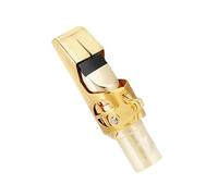 Saxophone Accessory High-pitched/alto/tenor Saxophone Metal Mouthpiece Professional Sax Gold-plated Mouthpiece (Color : Alto, Size : Size 9)