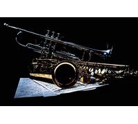 Saxophone and Notes - Adult Puzzle Children DIY Papery Game 500 Pieces Jigsaw Puzzle 52x38CM