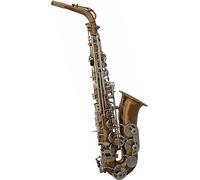 Saxophone Beginner Kit for Adults, E Flat Alto Saxophone with Brass Body and Antique Copper Finish, Complete Musical Instrument Set for New Learners