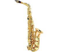 Saxophone Beginner Kit for Adults, Saxophone Musical Instrument Alto Saxophone Musical Instrument Brass Lacquered Gold Sax With Carrying Case
