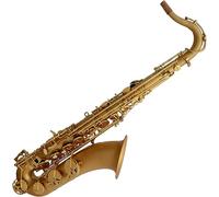 Saxophone Beginner Kit for Adults, Saxophone Musical Instrument B Flat Tenor Sax Golden Tenor Sax Woodwind Instrument With Full Set Of Accessories