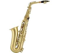 Saxophone Beginner Kit for Adults, Saxophone Musical Instrument Brass Body Alto E-flat Saxophone Musical Instrument Brushed Gold Surface Craft Sax