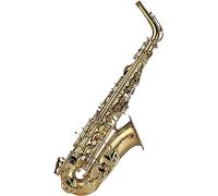 Saxophone Beginner Kit for Adults, Saxophone Musical Instrument Brass Body E-flat Saxophone Lacquered Gold Surface Alto Saxophone Instrument Suitable For Beginners