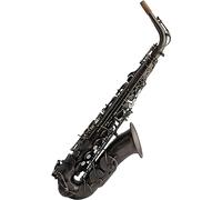 Saxophone Beginner Kit for Adults, Saxophone Musical Instrument Hand Engraved Antique Silver Alto E-flat Sax Professional Brass Body Saxophone With Fittings
