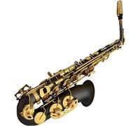 Saxophone Beginner Kit for Adults, Saxophone Musical Instrument Matte Black Nickel Alto Saxophone E-flat Brass Body Gold Keys Saxophone Musical Instrument