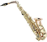 Saxophone Beginner Kit for Adults, Saxophone Musical Instrument Phosphor Bronze Body Alto Saxophone E Flat Saxophone With Carrying Case And Accessories