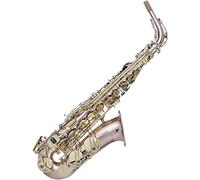 Saxophone Beginner Kit for Adults, Saxophone Musical Instrument Phosphor Bronze Tube Body E Flat Saxophone Varnish Surface Alto Saxophone Instrument For Beginners