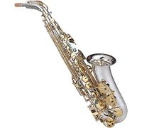 Saxophone Beginner Kit for Adults, Saxophone Musical Instrument Professional Performance Type E-flat Alto Saxophone Instrument Suitable For Beginners And Professional Players