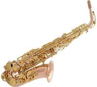 Saxophone Beginner Kit for Adults, Saxophone Musical Instrument Professional Phosphor Bronze Body Alto E-flat Saxophone Double Rib Sax With A Full Set Of Accessories