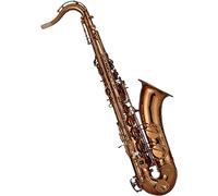 Saxophone Beginner Kit for Adults, Saxophone Musical Instrument Professional Playing B-flat Tenor Saxophone Woodwind Instrument For Beginners