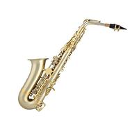 Saxophone Cupronickel Body Alto Saxophone Matt Lacquered Gold Surface Eb Tone Sax Woodwind Instrument