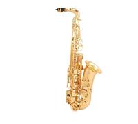 Saxophone E Flat Alto Saxophone Instrument Adult Beginners Entry Level Examination Performance (Color : 01)