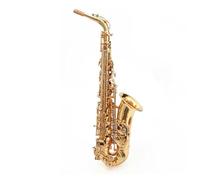 Saxophone E Flat Alto Saxophone Instrument Adult Beginners Entry Level Examination Performance (Color : 02)