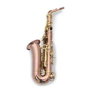 Saxophone E Flat Alto Saxophone Instrument Adult Beginners Entry Level Examination Performance (Color : 08)