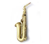 Saxophone E Flat Alto Saxophone Instrument Adult Beginners Entry Level Examination Performance (Color : 03)