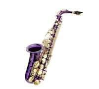 Saxophone E key Alto Saxophone Set for Beginners Purple with Boxed Cloth Gloves