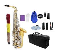 Saxophone Glossy Brass Engraved Saxophone Eb E-Flat Sax Brass Wind Instrument With Case
