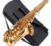 Saxophone Herche Superior Alto Saxophone X3 | Professional Instruments for All Levels | High F# Key | Educator Approved & Service Plan