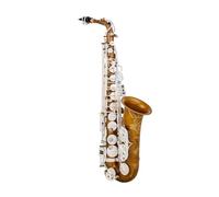 Saxophone instrument Eb Alto Saxophone Keys Brass Body Alto Sax Set Case Professional Saxophone Accessory Easy To Play For Adults(B)