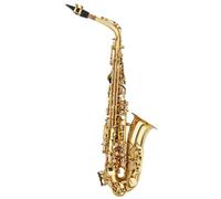 Saxophone instrument Mid-range Alto Drop E Lacquered Golden Saxophone Painted Golden Tube With Carve Patterns With Bag Instrument Accessories