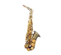 Saxophone Instrument Professional Playing Alto E Flat For Adult Beginners (Color : 01)