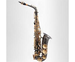 Saxophone Kit Alto E-flat Saxophone Instrument/wind Instrument Black Nickel Gold Plated Beginner Exam Saxophone