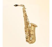 Saxophone Kit Alto Saxophone Adult/Beginner Grade Exam Eb-flat Saxophone