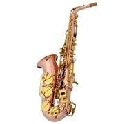 Saxophone Kit Alto Saxophone E Flat Phosphor Copper Brass Material Performance Beginner Exam