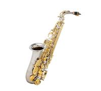 Saxophone Kit Alto Saxophone In Gold E Flat Key Suitable For Beginners Adults Exam Level Performance Level With Accessories