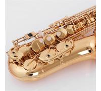 Saxophone Kit Alto Saxophone Instrument Beginner Saxophone Alto E-flat Tune Entry-level Exam