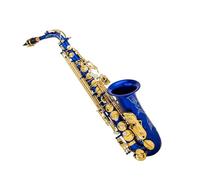 Saxophone Kit E Flat Alto Saxophone Suitable For Beginners Adults Exam Level Performance Level Complete Accessories