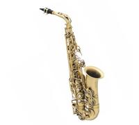 Saxophone Kit Eb Alto Saxophone Arrival Brass Gold Lacquer Music Instrument E-flat Sax With Case Accessories(A)