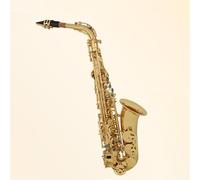 Saxophone Kit Key Upgraded Alto Saxophone Adult/Beginner Grade Exam Eb Saxophone