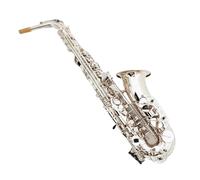 Saxophone Kit Silver Professional Alto Saxophone E-flat Jazz Instrument Alto Sax Hand Carved Patterns(Bag B)