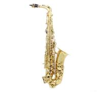 Saxophone Ligature and Cap Accessories Fits Standard Alto, Tenor, Soprano Mouthpieces (Alto)